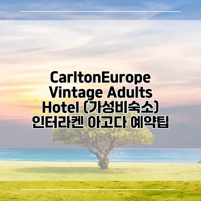 CarltonEurope Vintage Adults Hotel (가성비숙소) 인터라켄 아고다 예약팁