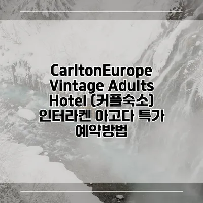 CarltonEurope Vintage Adults Hotel (커플숙소) 인터라켄 아고다 특가 예약방법