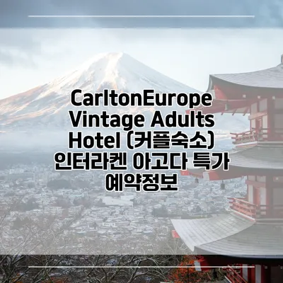 CarltonEurope Vintage Adults Hotel (커플숙소) 인터라켄 아고다 특가 예약정보