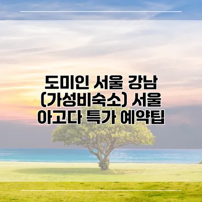 도미인 서울 강남 (가성비숙소) 서울 아고다 특가 예약팁