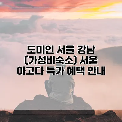 도미인 서울 강남 (가성비숙소) 서울 아고다 특가 혜택 안내