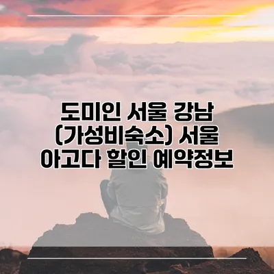도미인 서울 강남 (가성비숙소) 서울 아고다 할인 예약정보
