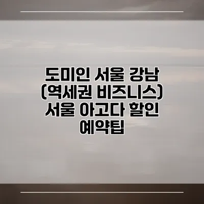 도미인 서울 강남 (역세권 비즈니스) 서울 아고다 할인 예약팁