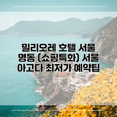 밀리오레 호텔 서울 명동 (쇼핑특화) 서울 아고다 최저가 예약팁