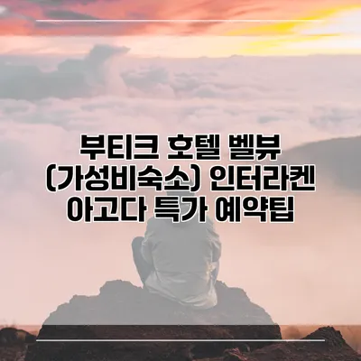 부티크 호텔 벨뷰 (가성비숙소) 인터라켄 아고다 특가 예약팁