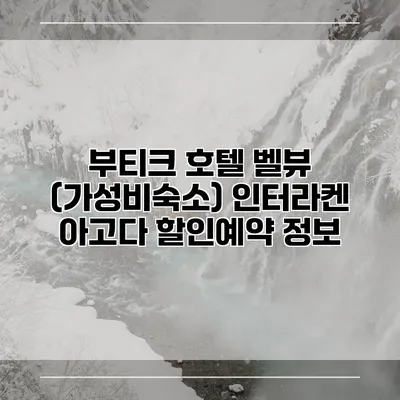 부티크 호텔 벨뷰 (가성비숙소) 인터라켄 아고다 할인예약 정보