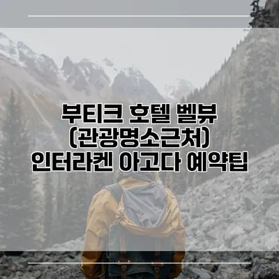부티크 호텔 벨뷰 (관광명소근처) 인터라켄 아고다 예약팁