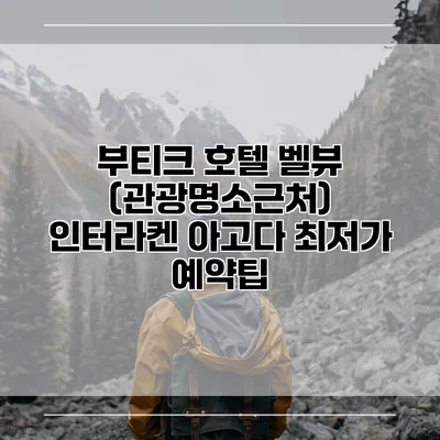 부티크 호텔 벨뷰 (관광명소근처) 인터라켄 아고다 최저가 예약팁