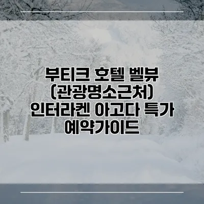 부티크 호텔 벨뷰 (관광명소근처) 인터라켄 아고다 특가 예약가이드