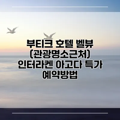 부티크 호텔 벨뷰 (관광명소근처) 인터라켄 아고다 특가 예약방법