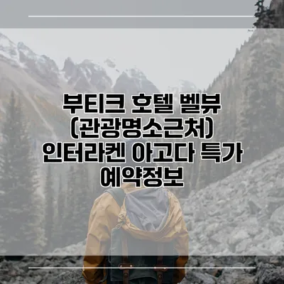 부티크 호텔 벨뷰 (관광명소근처) 인터라켄 아고다 특가 예약정보