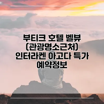 부티크 호텔 벨뷰 (관광명소근처) 인터라켄 아고다 특가 예약정보