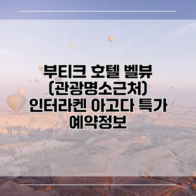 부티크 호텔 벨뷰 (관광명소근처) 인터라켄 아고다 특가 예약정보