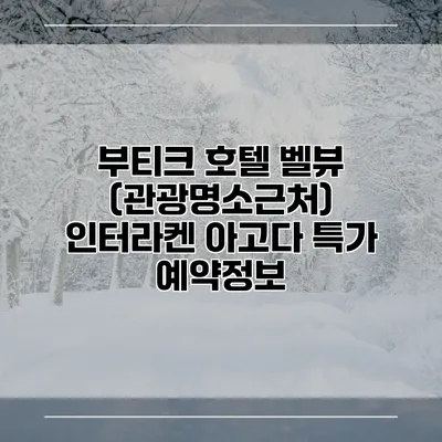 부티크 호텔 벨뷰 (관광명소근처) 인터라켄 아고다 특가 예약정보