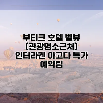부티크 호텔 벨뷰 (관광명소근처) 인터라켄 아고다 특가 예약팁