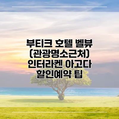 부티크 호텔 벨뷰 (관광명소근처) 인터라켄 아고다 할인예약 팁