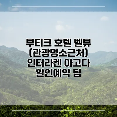 부티크 호텔 벨뷰 (관광명소근처) 인터라켄 아고다 할인예약 팁