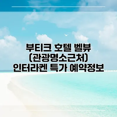 부티크 호텔 벨뷰 (관광명소근처) 인터라켄 특가 예약정보