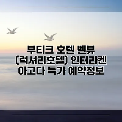 부티크 호텔 벨뷰 (럭셔리호텔) 인터라켄 아고다 특가 예약정보