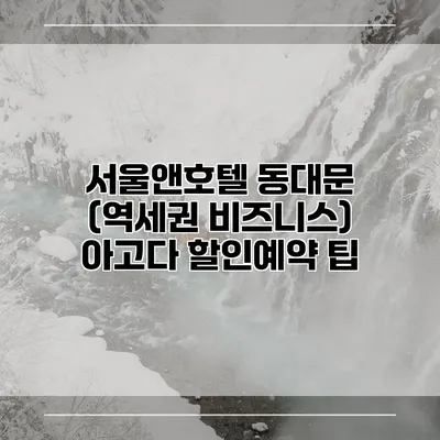 서울앤호텔 동대문 (역세권 비즈니스) 아고다 할인예약 팁
