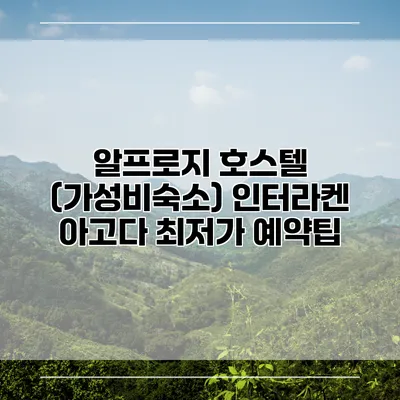 알프로지 호스텔 (가성비숙소) 인터라켄 아고다 최저가 예약팁