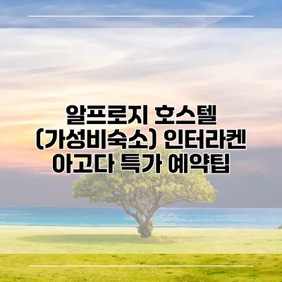 알프로지 호스텔 (가성비숙소) 인터라켄 아고다 특가 예약팁