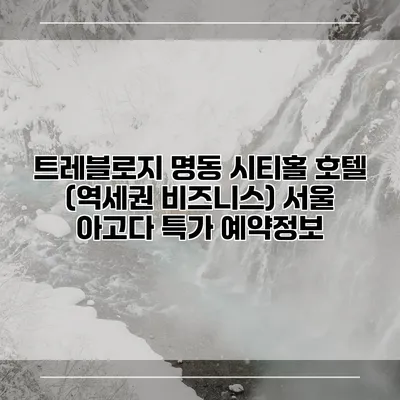 트레블로지 명동 시티홀 호텔 (역세권 비즈니스) 서울 아고다 특가 예약정보