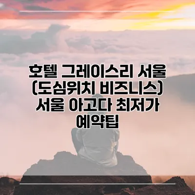 호텔 그레이스리 서울 (도심위치 비즈니스) 서울 아고다 최저가 예약팁