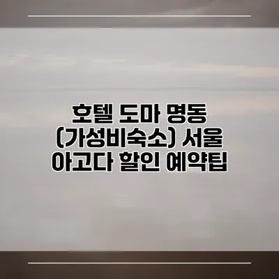 호텔 도마 명동 (가성비숙소) 서울 아고다 할인 예약팁