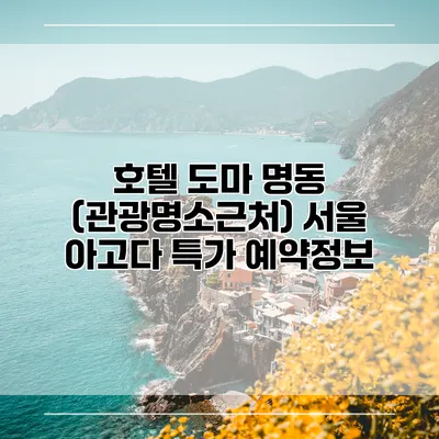 호텔 도마 명동 (관광명소근처) 서울 아고다 특가 예약정보