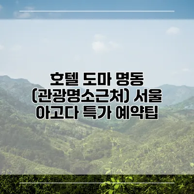 호텔 도마 명동 (관광명소근처) 서울 아고다 특가 예약팁