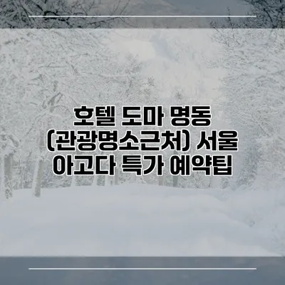 호텔 도마 명동 (관광명소근처) 서울 아고다 특가 예약팁