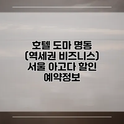 호텔 도마 명동 (역세권 비즈니스) 서울 아고다 할인 예약정보