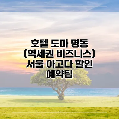 호텔 도마 명동 (역세권 비즈니스) 서울 아고다 할인 예약팁