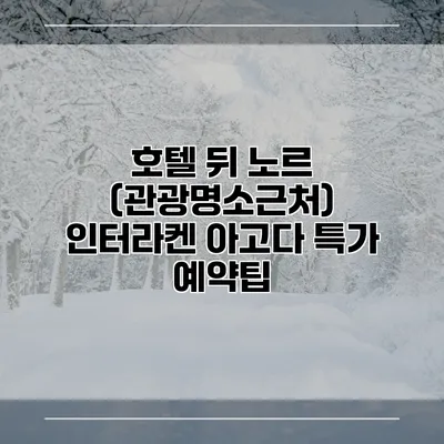 호텔 뒤 노르 (관광명소근처) 인터라켄 아고다 특가 예약팁