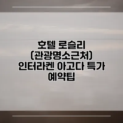 호텔 로슬리 (관광명소근처) 인터라켄 아고다 특가 예약팁