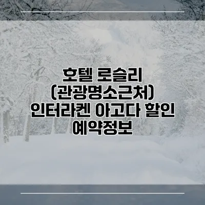 호텔 로슬리 (관광명소근처) 인터라켄 아고다 할인 예약정보
