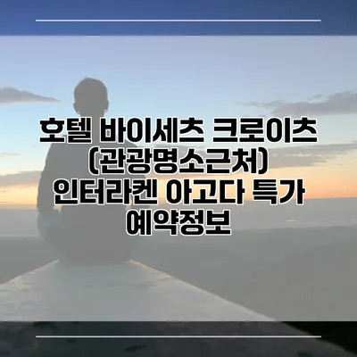 호텔 바이세츠 크로이츠 (관광명소근처) 인터라켄 아고다 특가 예약정보