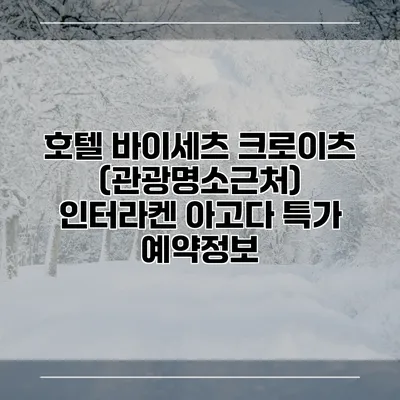 호텔 바이세츠 크로이츠 (관광명소근처) 인터라켄 아고다 특가 예약정보