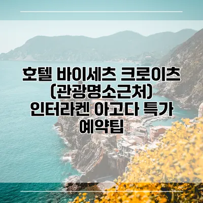 호텔 바이세츠 크로이츠 (관광명소근처) 인터라켄 아고다 특가 예약팁