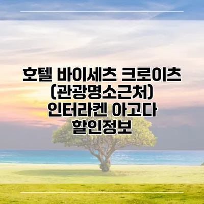 호텔 바이세츠 크로이츠 (관광명소근처) 인터라켄 아고다 할인정보