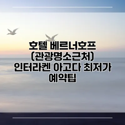 호텔 베르너호프 (관광명소근처) 인터라켄 아고다 최저가 예약팁