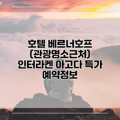 호텔 베르너호프 (관광명소근처) 인터라켄 아고다 특가 예약정보
