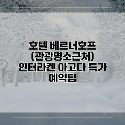 호텔 베르너호프 (관광명소근처) 인터라켄 아고다 특가 예약팁