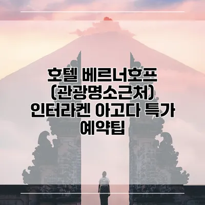 호텔 베르너호프 (관광명소근처) 인터라켄 아고다 특가 예약팁