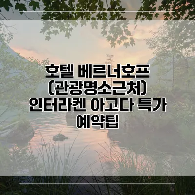 호텔 베르너호프 (관광명소근처) 인터라켄 아고다 특가 예약팁