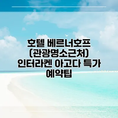 호텔 베르너호프 (관광명소근처) 인터라켄 아고다 특가 예약팁