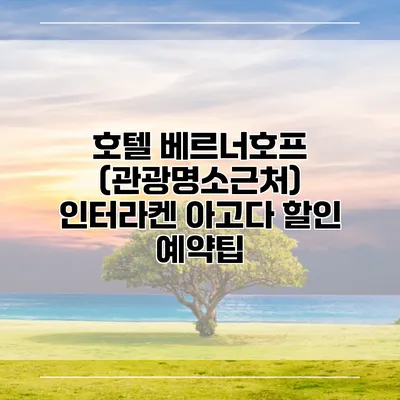 호텔 베르너호프 (관광명소근처) 인터라켄 아고다 할인 예약팁
