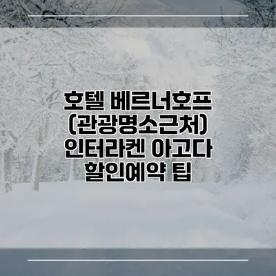 호텔 베르너호프 (관광명소근처) 인터라켄 아고다 할인예약 팁