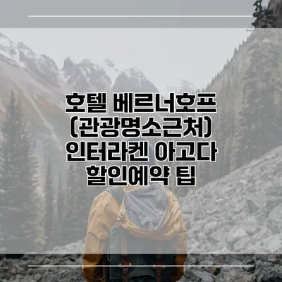 호텔 베르너호프 (관광명소근처) 인터라켄 아고다 할인예약 팁